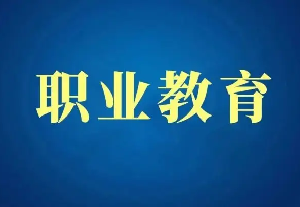 職業(yè)教育領(lǐng)域迎來黃金時期 線上職業(yè)教育該如何發(fā)展？